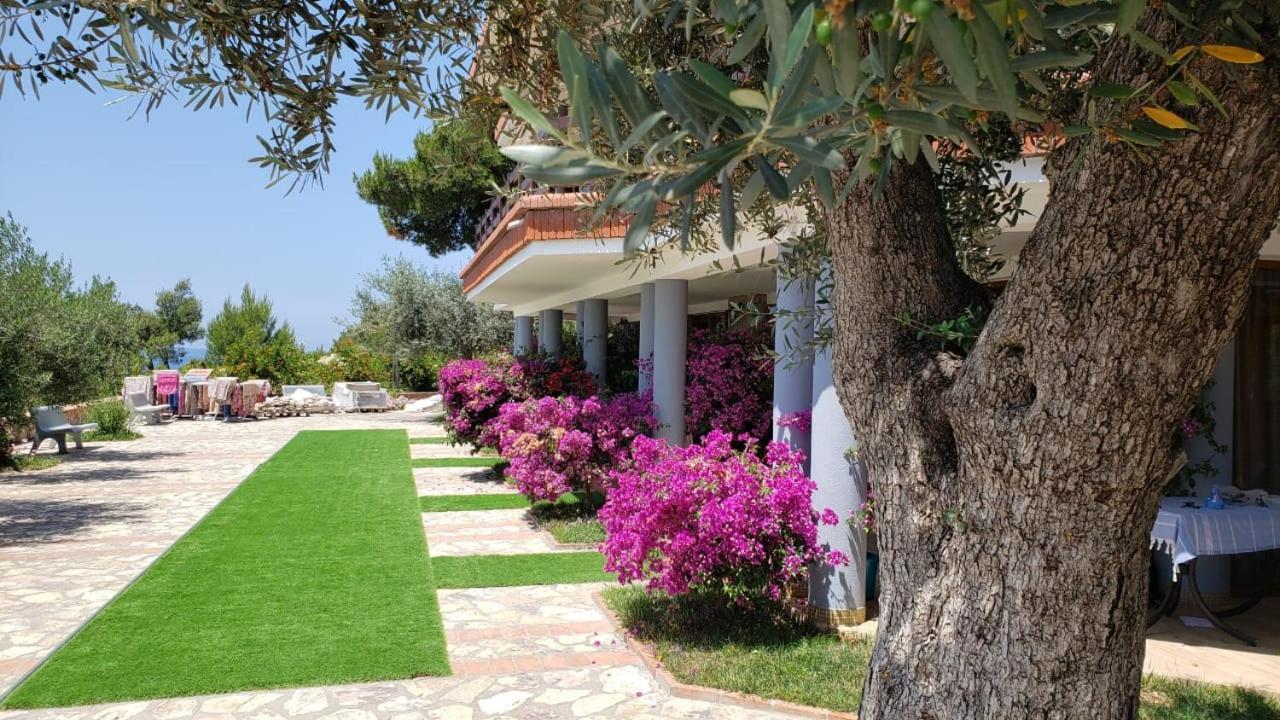 Hotel Brifs Shëngjin Exteriér fotografie