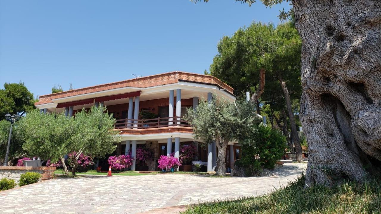 Hotel Brifs Shëngjin Exteriér fotografie