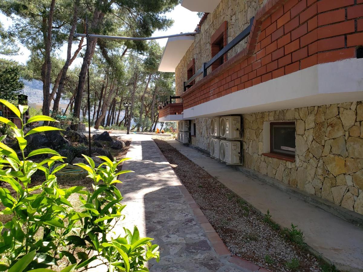 Hotel Brifs Shëngjin Exteriér fotografie